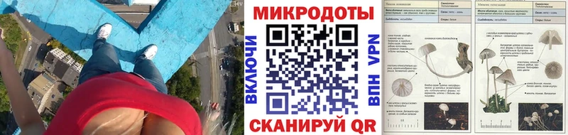 Купить где  Аткарск  Галлюциногенные грибы мицелий 